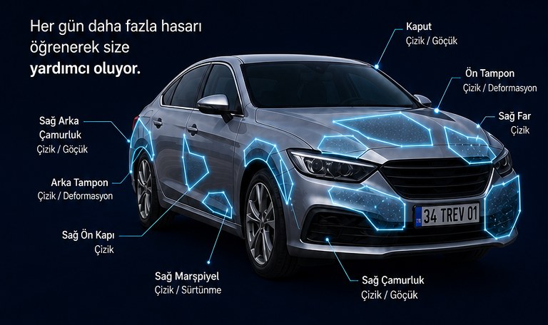 Automatic damage detection on a vehicle: hood, bumper, fender and door areas marked